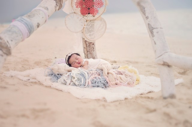 Driftwood photography prop