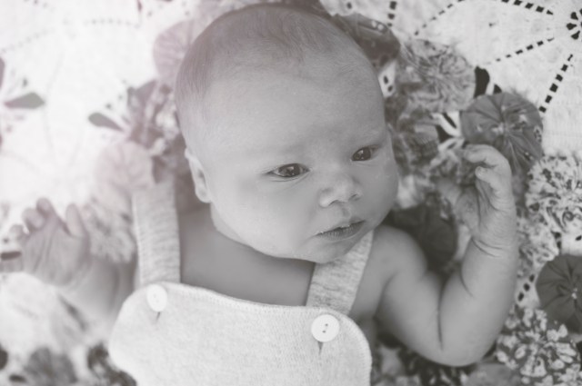 hailey faria photography