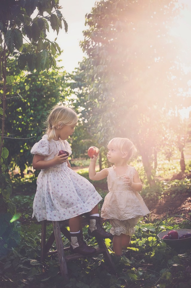 vintage family photography in an apple orchard