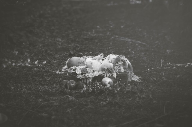 newborn photography outside