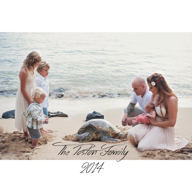 Haleiwa beach sea turtle